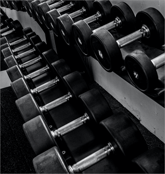 What To Expect From My Program Pic